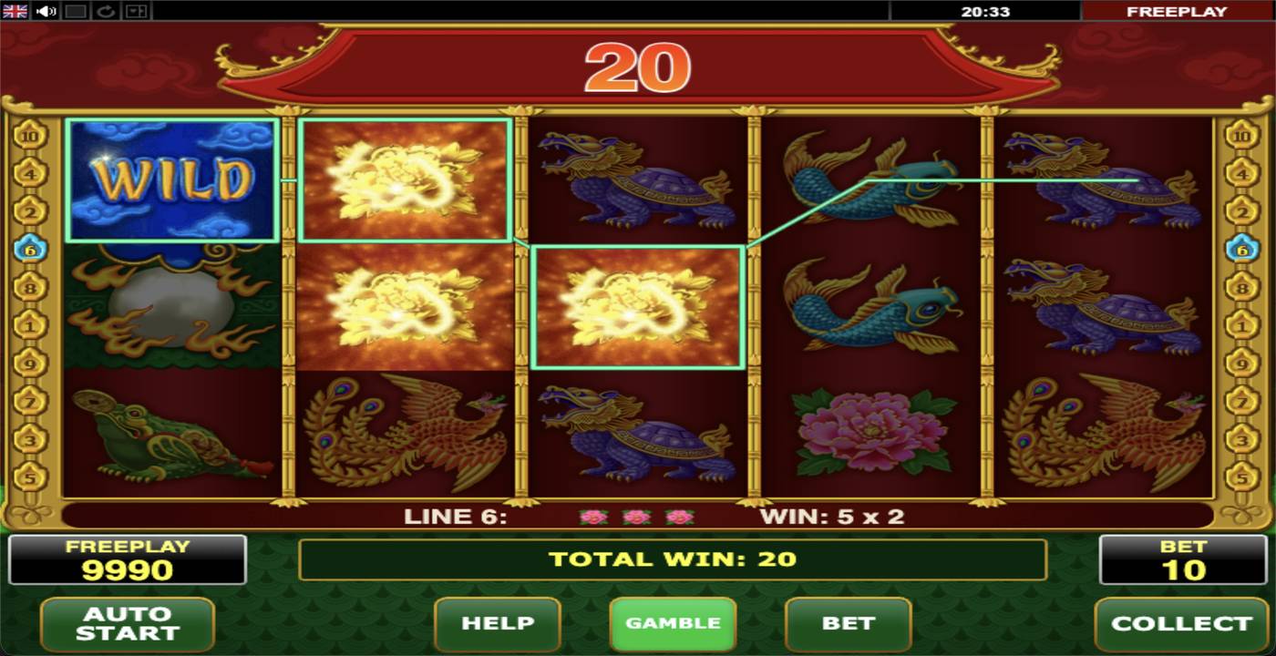 Wild Dragon: image of winning