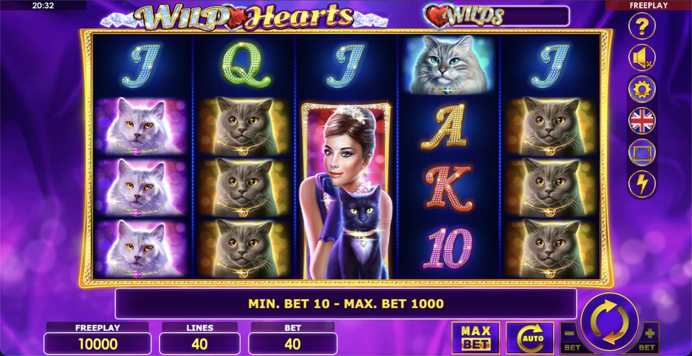 Wild Hearts: image of main menu