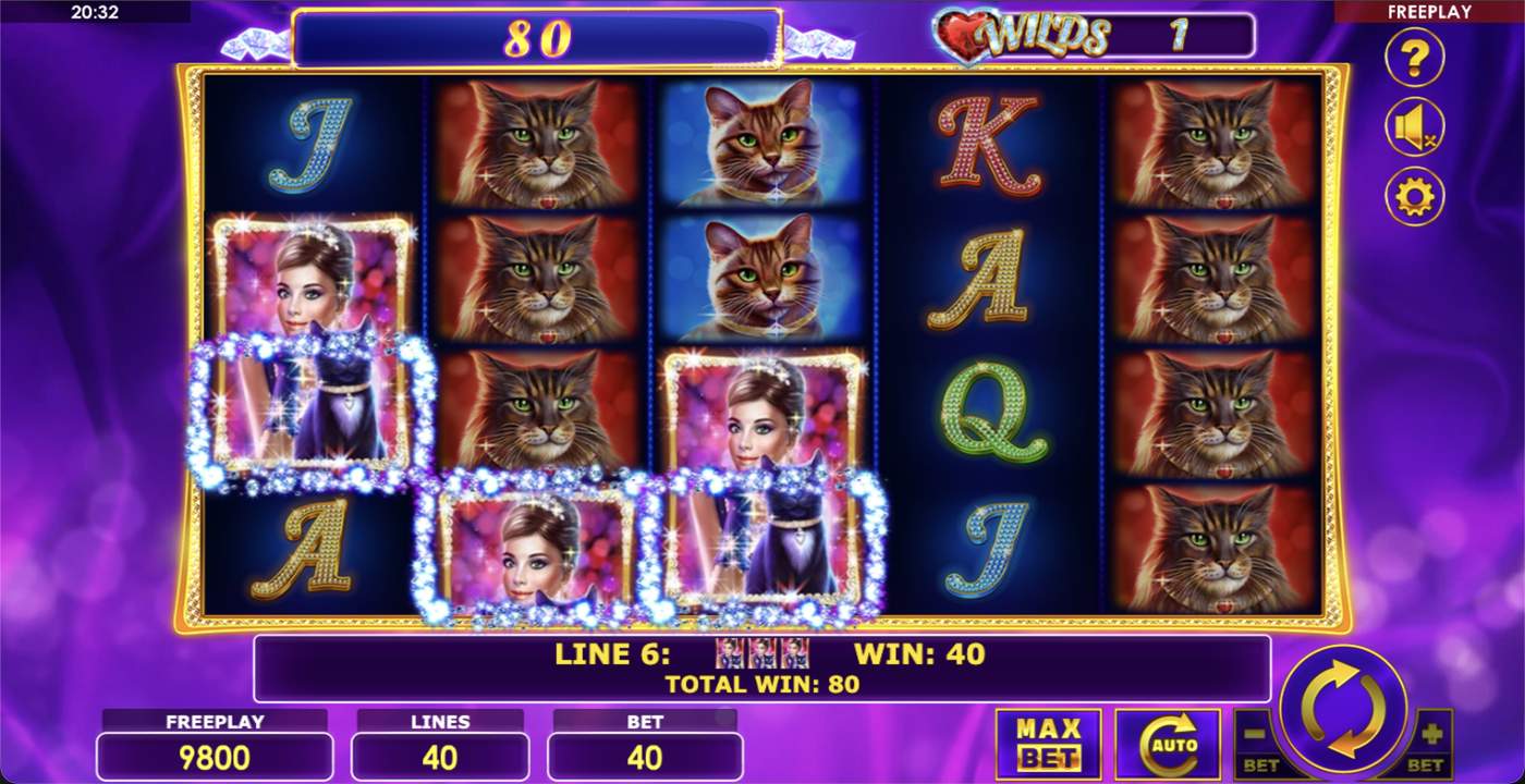 Wild Hearts: image of winning