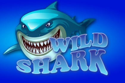 Wild Shark Online Slot Logo