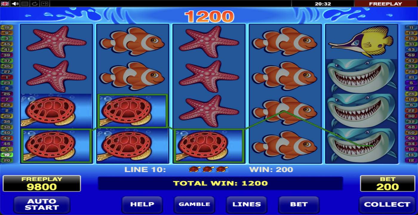 Wild Shark: image of winning