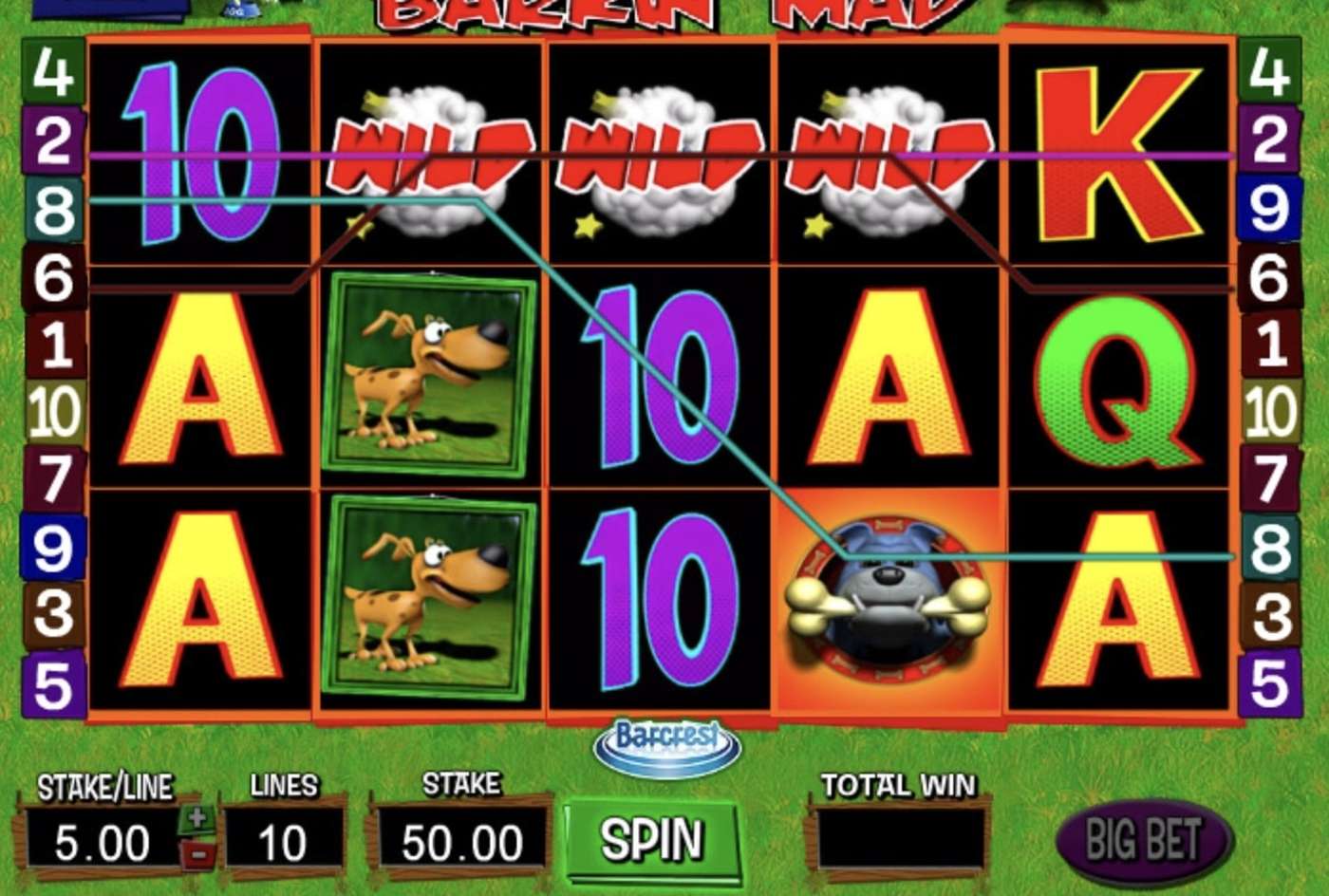 Barkin' Mad: image of winning