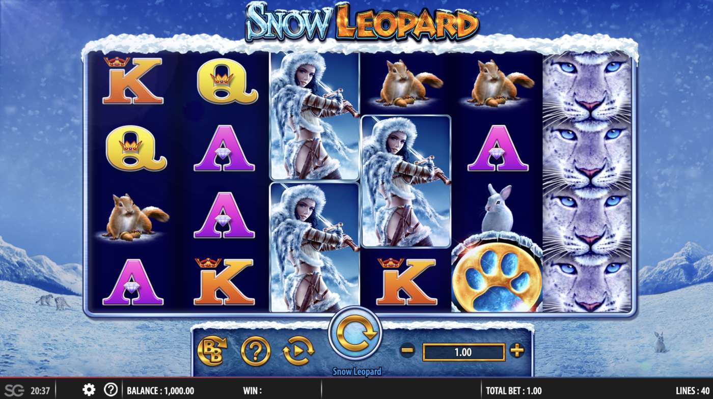 Snow Leopard: image of main menu