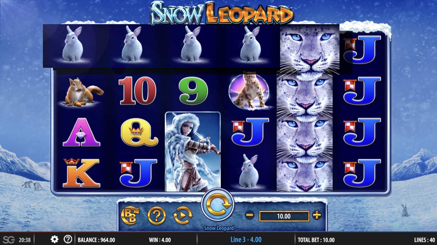 Snow Leopard: image of winning