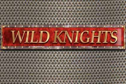 Wild Knights Online Slot Logo