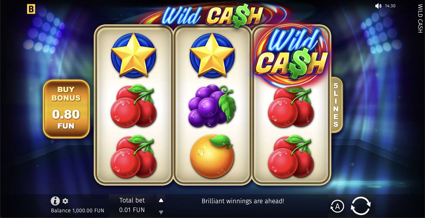 Wild Cash: image of main menu