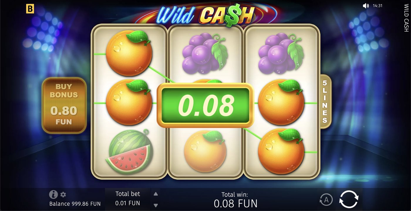Wild Cash: image of winning