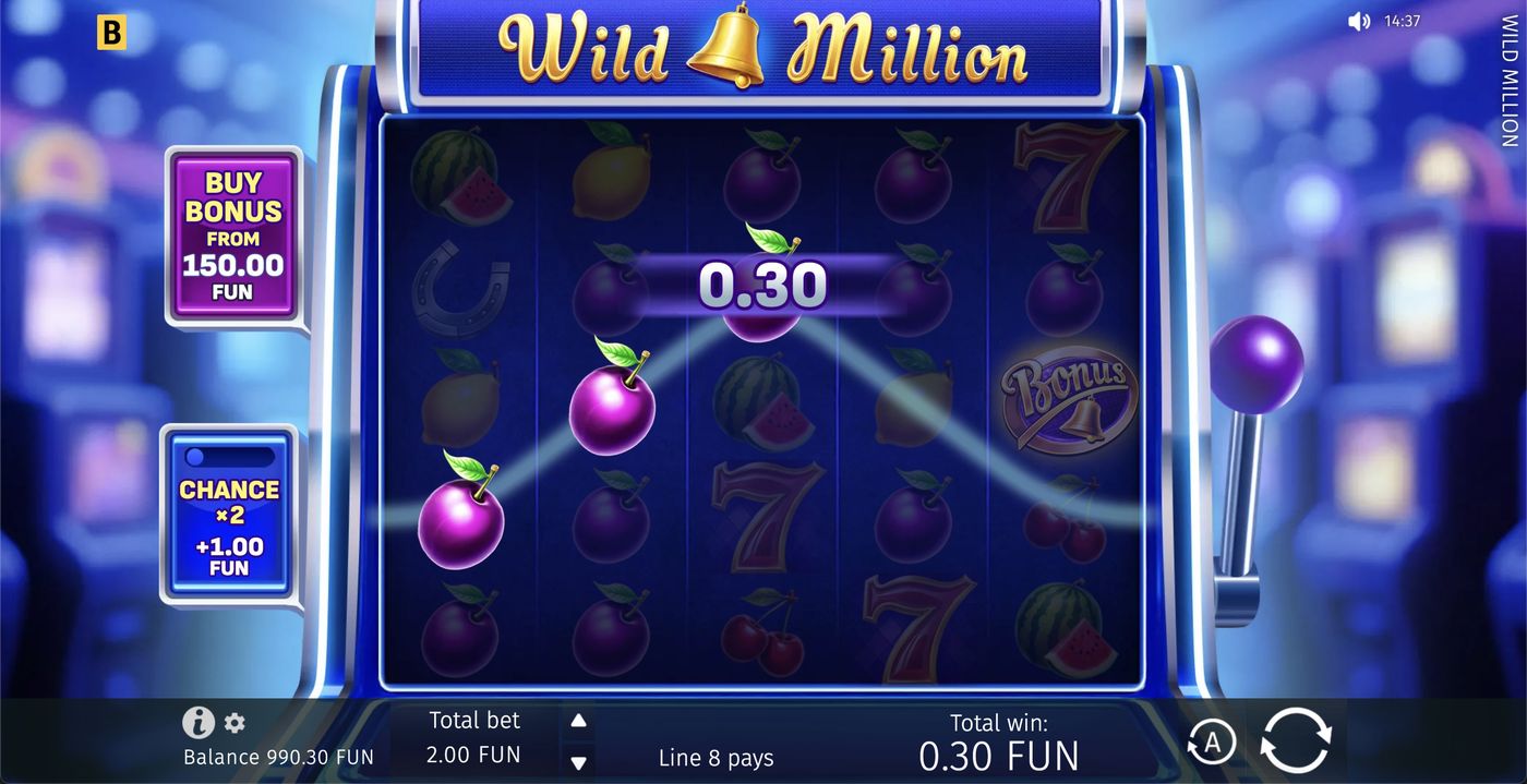 Wild Million: image of winning