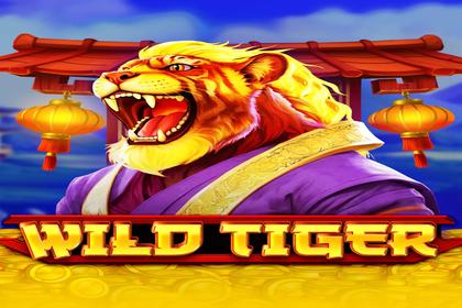 Wild Tiger Online Slot Logo