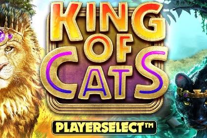 King of Cats Online Slot Logo
