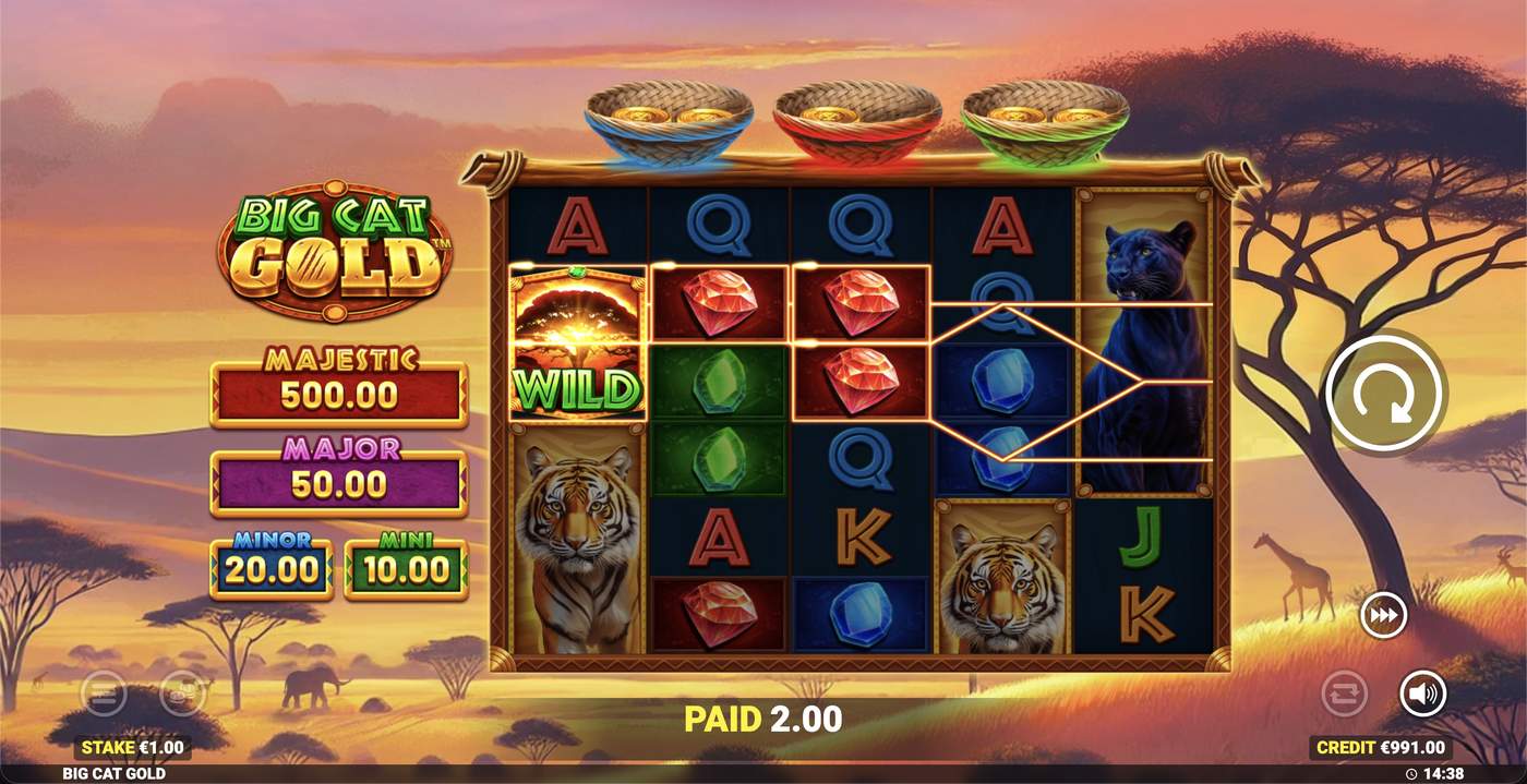 Big Cat Gold: image of winning