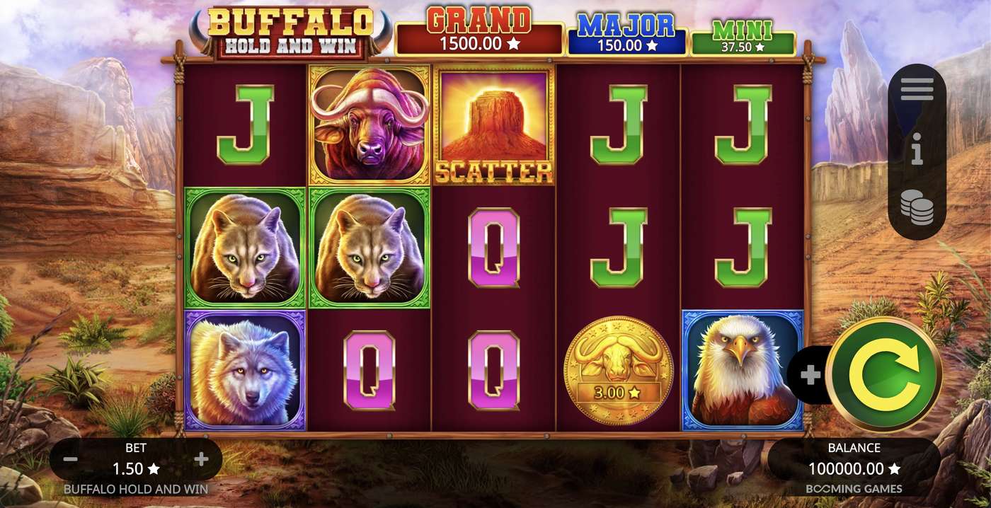 Buffalo Hold and Win: image of main menu