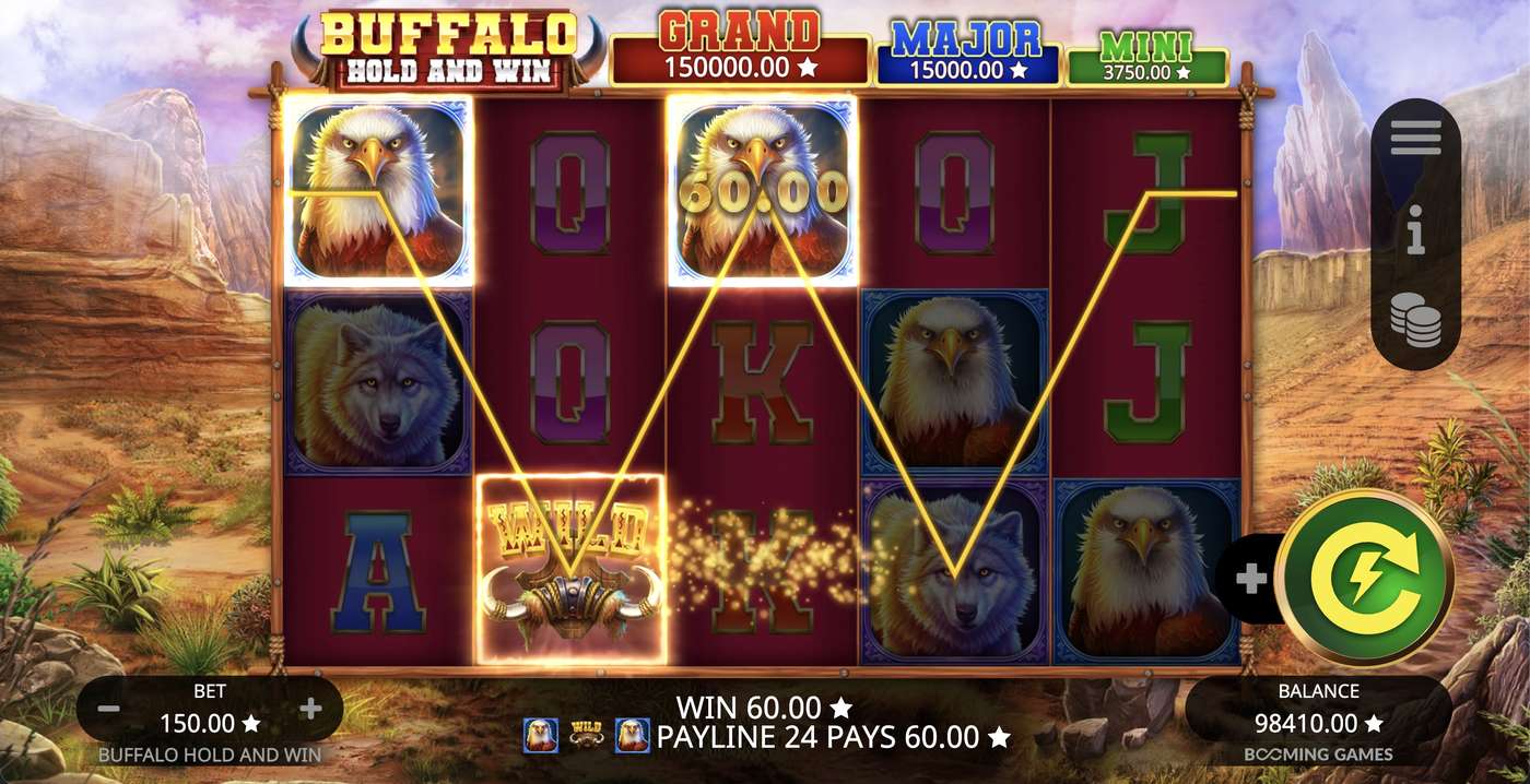 Buffalo Hold and Win: image of winning
