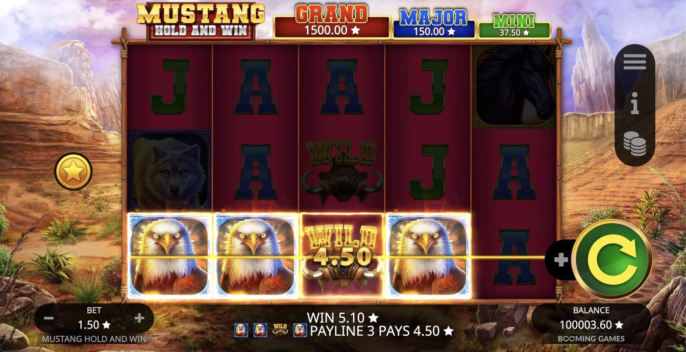 Mustang Hold and Win: image of winning