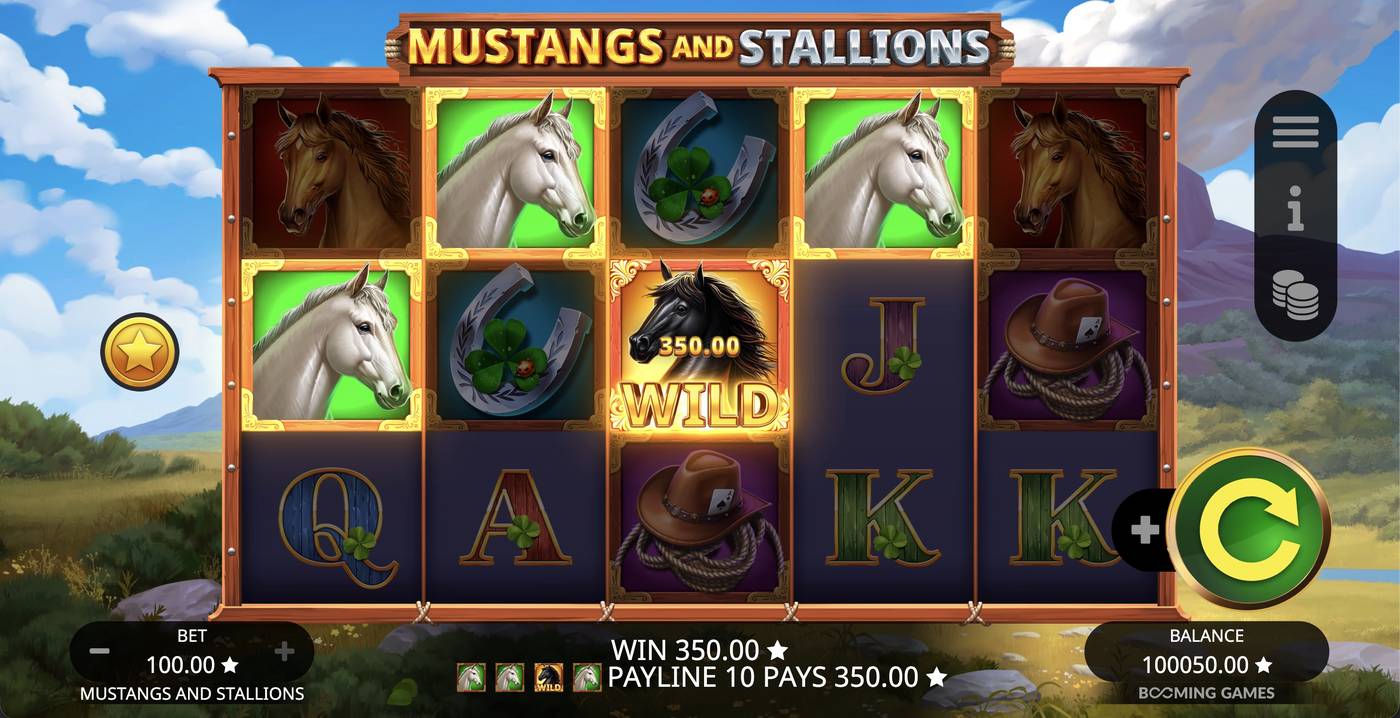 Mustangs and Stallions: image of winning