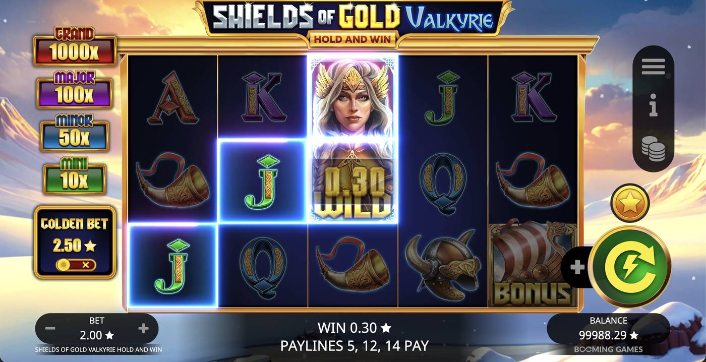 Shields of Gold Valkyrie Hold and Win: image of winning