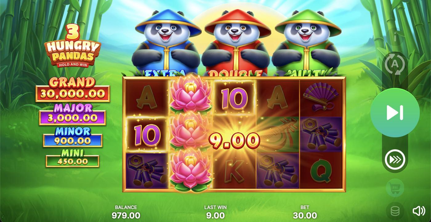 3 Hungry Pandas: Hold and Win: image of winning