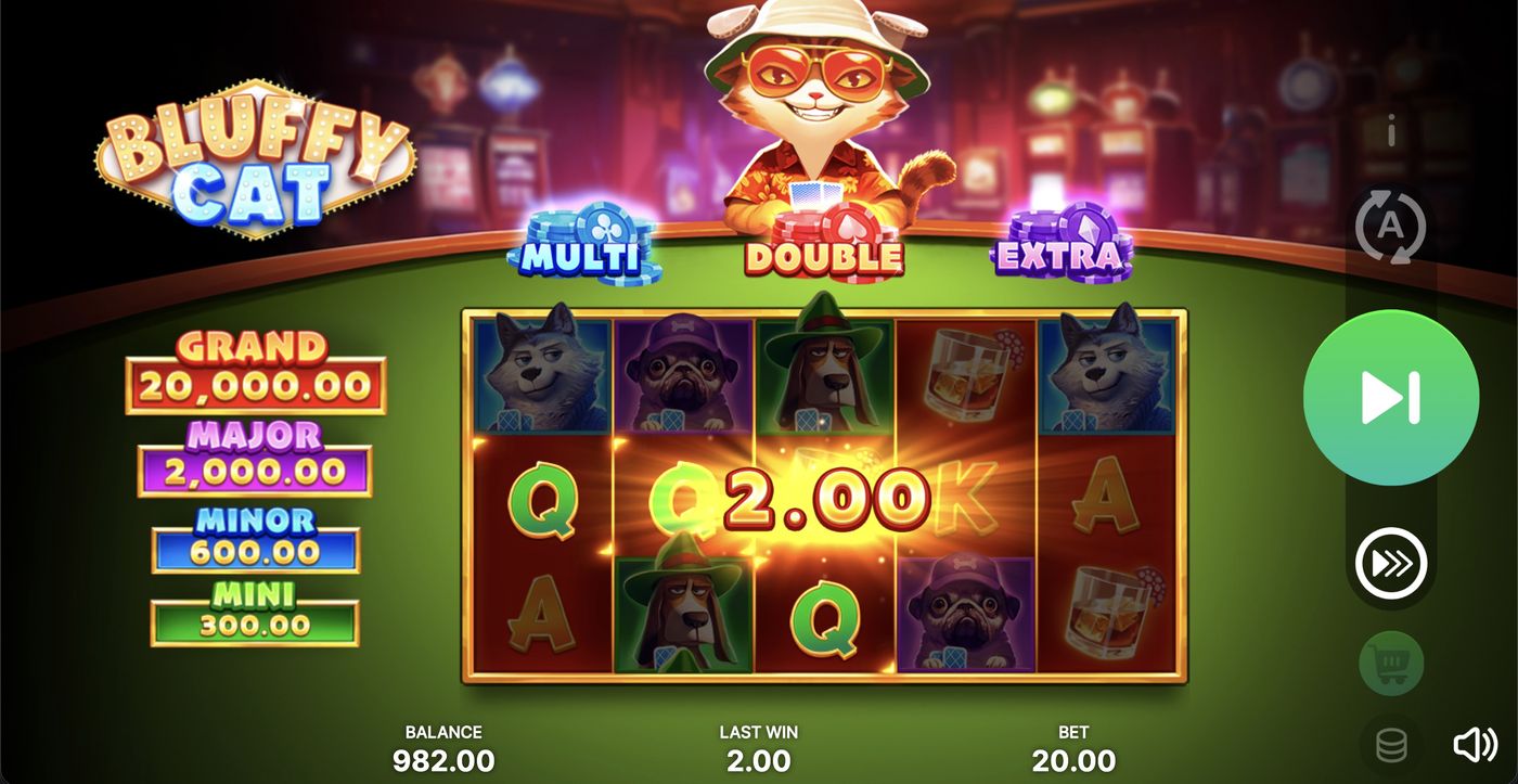 Bluffy Cat: image of winning