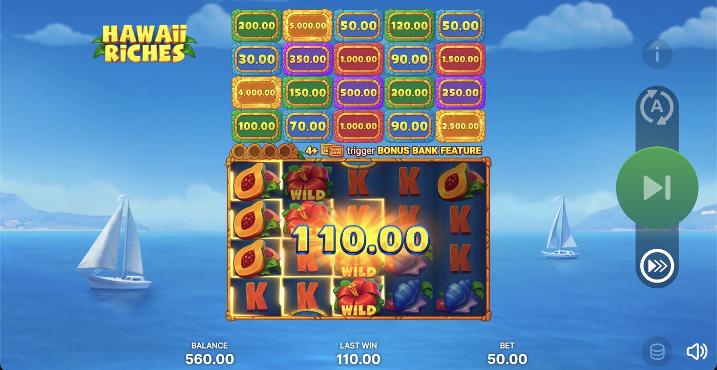 Hawaii Riches: image of winning