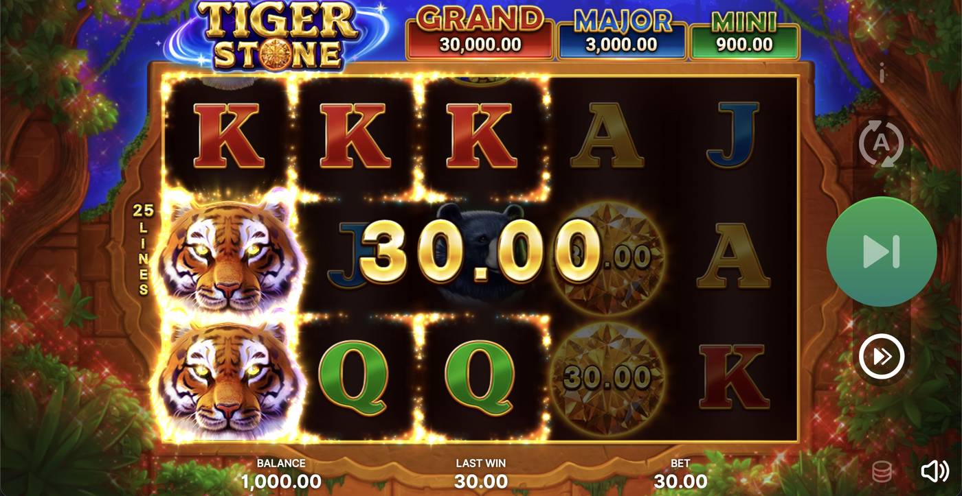 Tiger Stone: image of winning