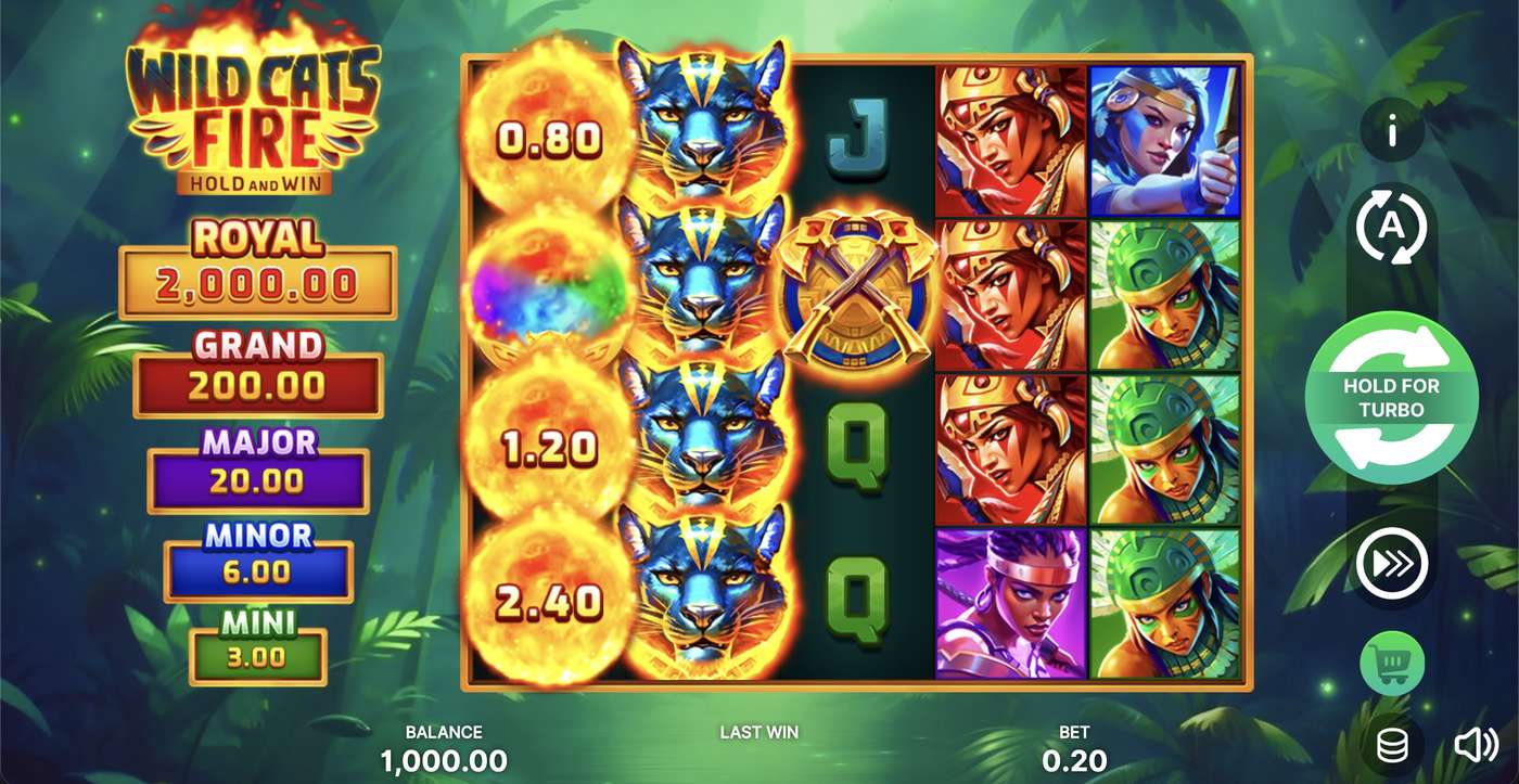 Wild Cats Fire: Hold and Win: image of main menu