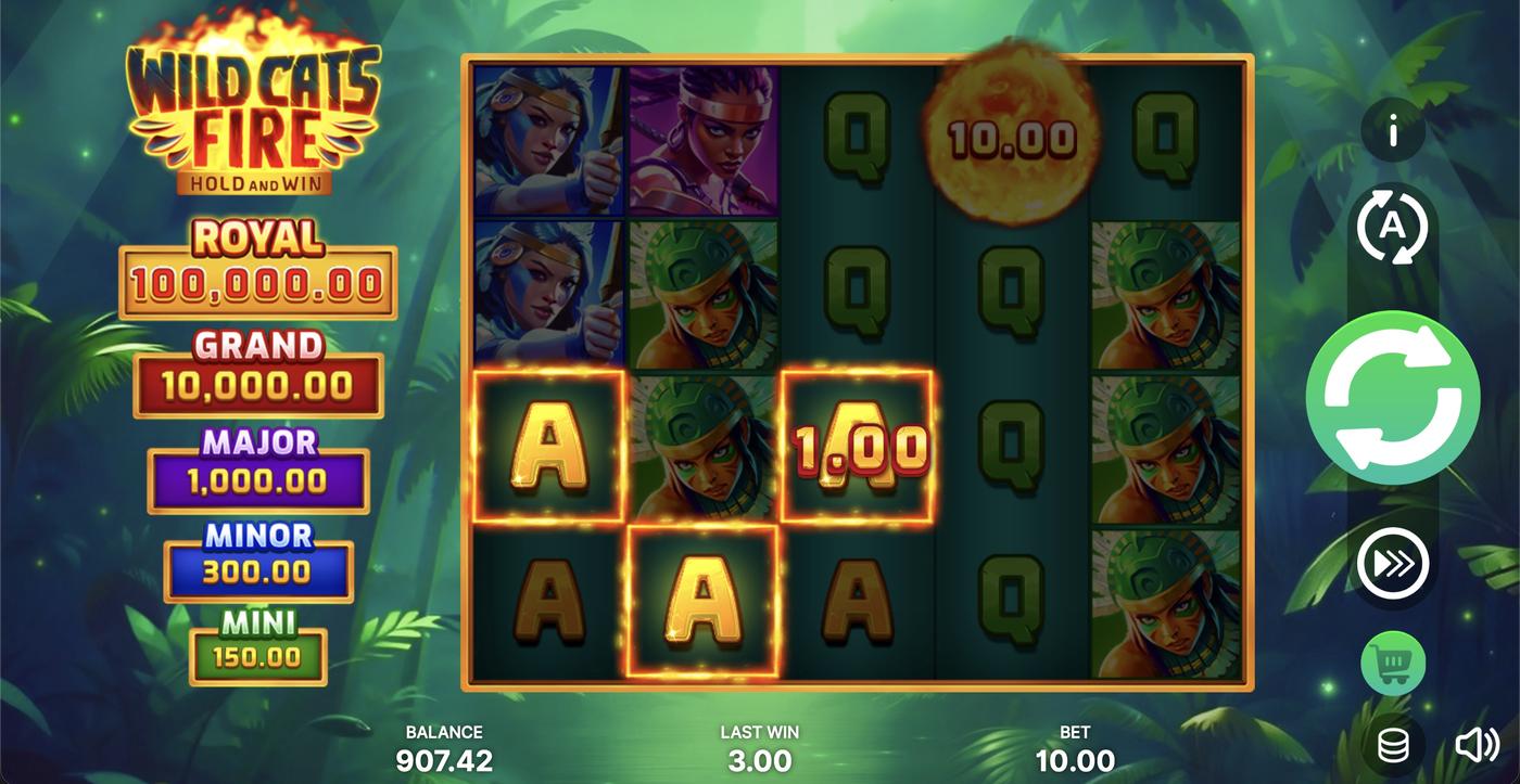 Wild Cats Fire: Hold and Win: image of winning