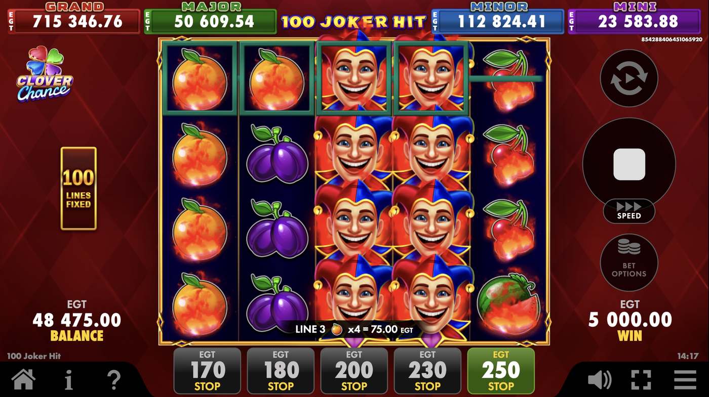 100 Joker Hit: image of winning