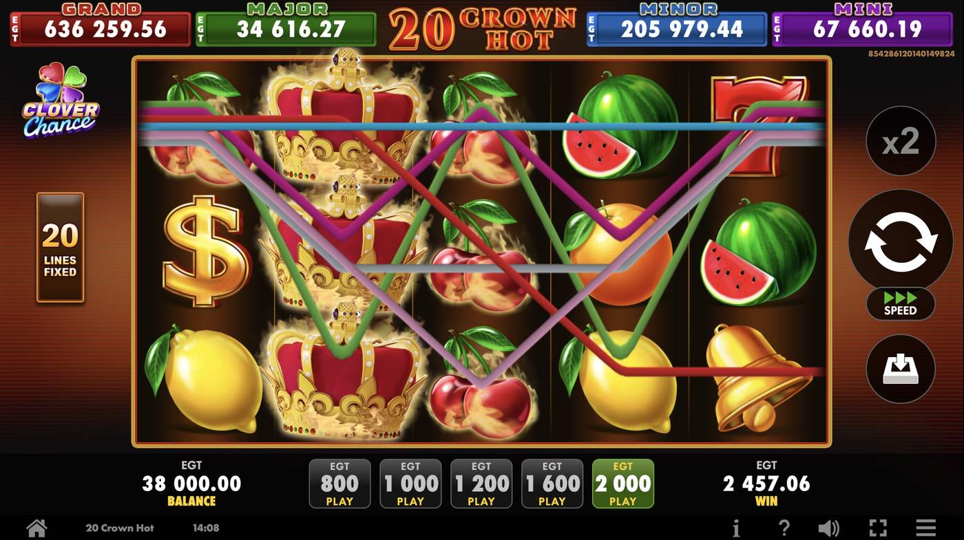 20 Crown Hot: image of winning