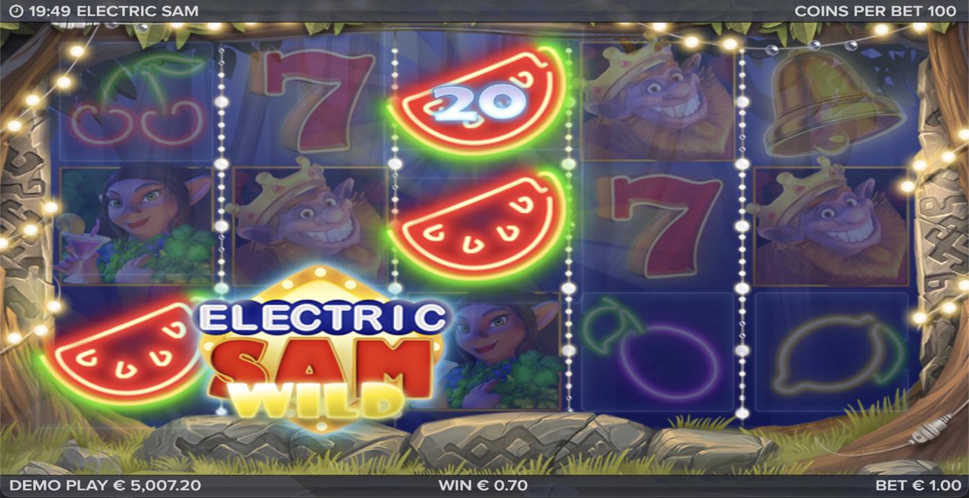 Electric SAM: image of winning