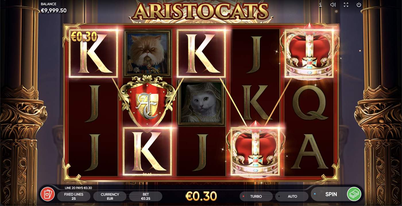 Aristocats: image of winning