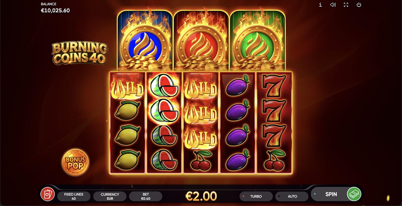 Burning Coins 40: image of winning