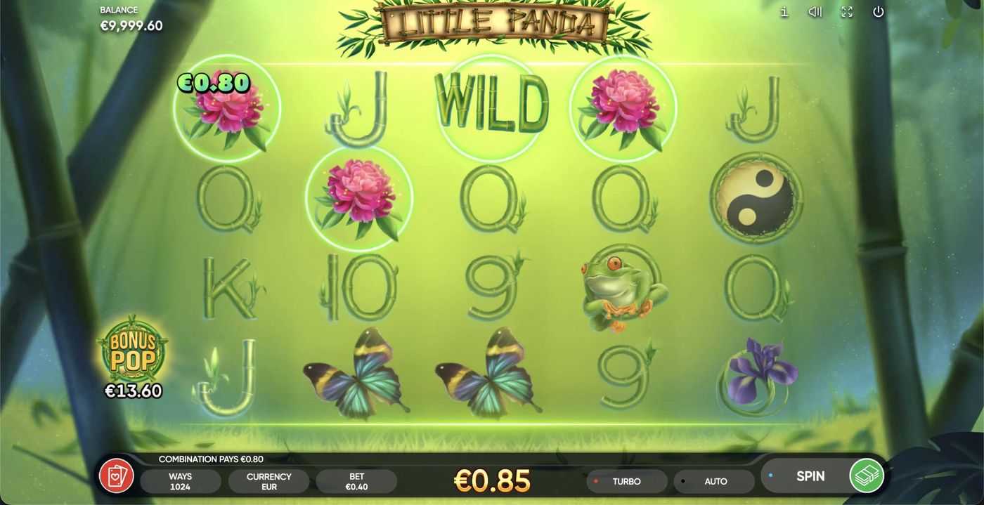 Little Panda: image of winning