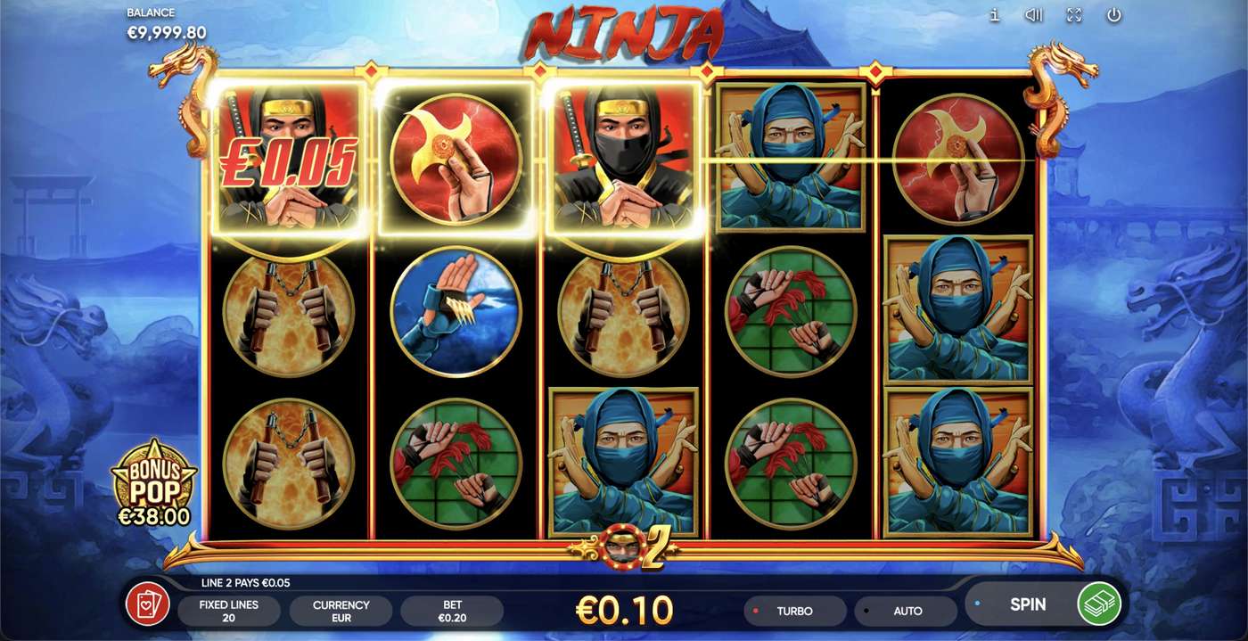 Ninja: image of winning