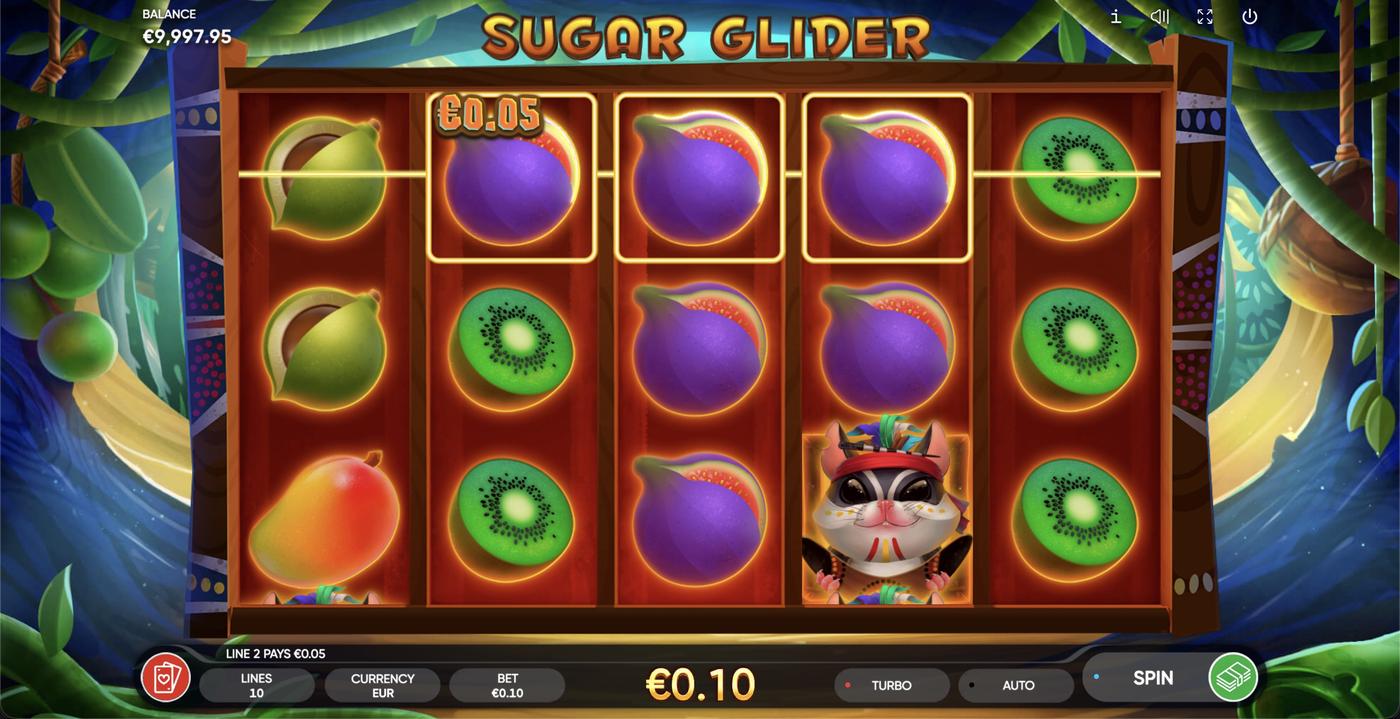 Sugar Glider: image of winning