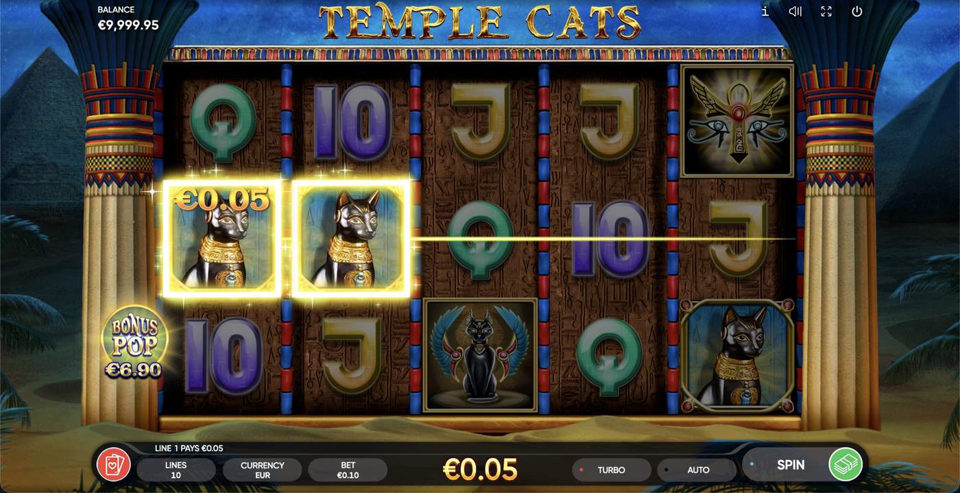 Temple Cats: image of winning