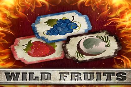 Wild Fruits Online Slot Logo