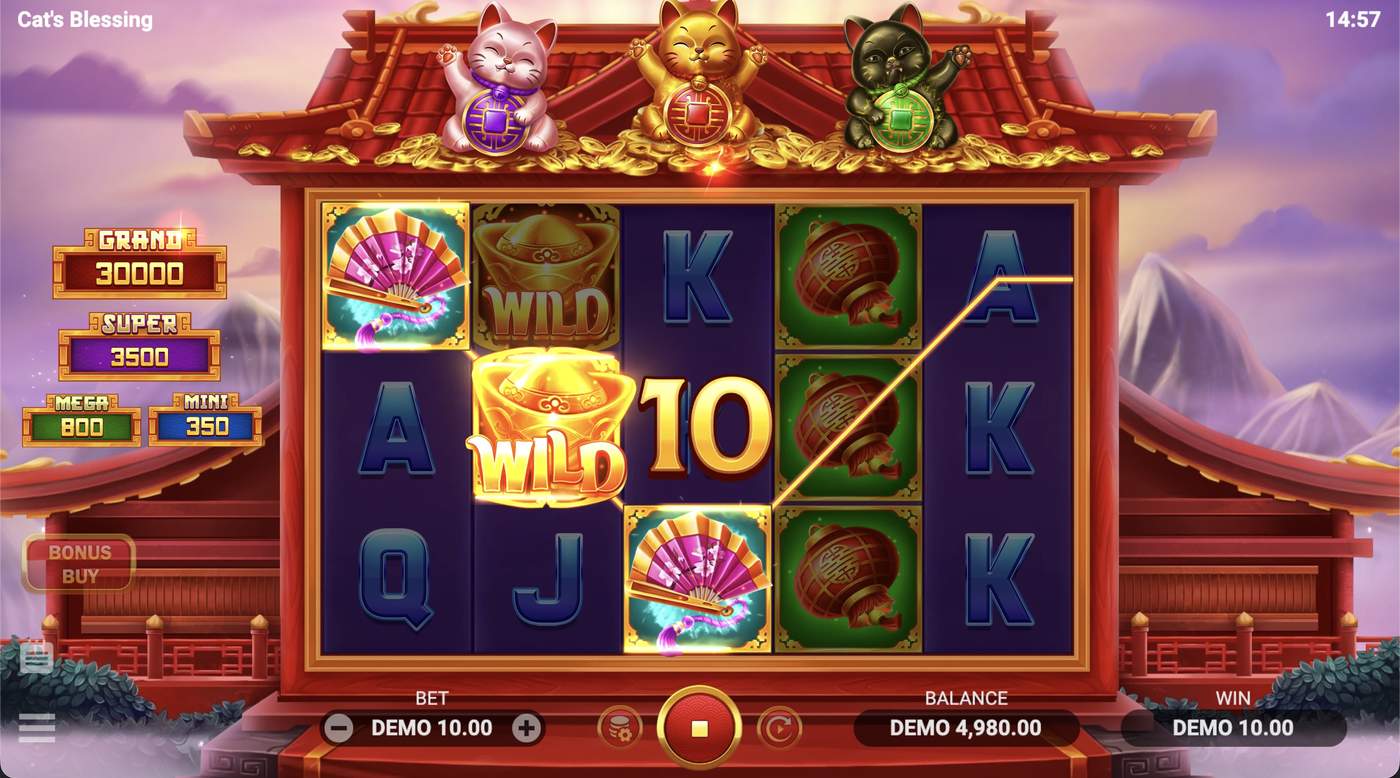 Cat's Blessing: image of winning