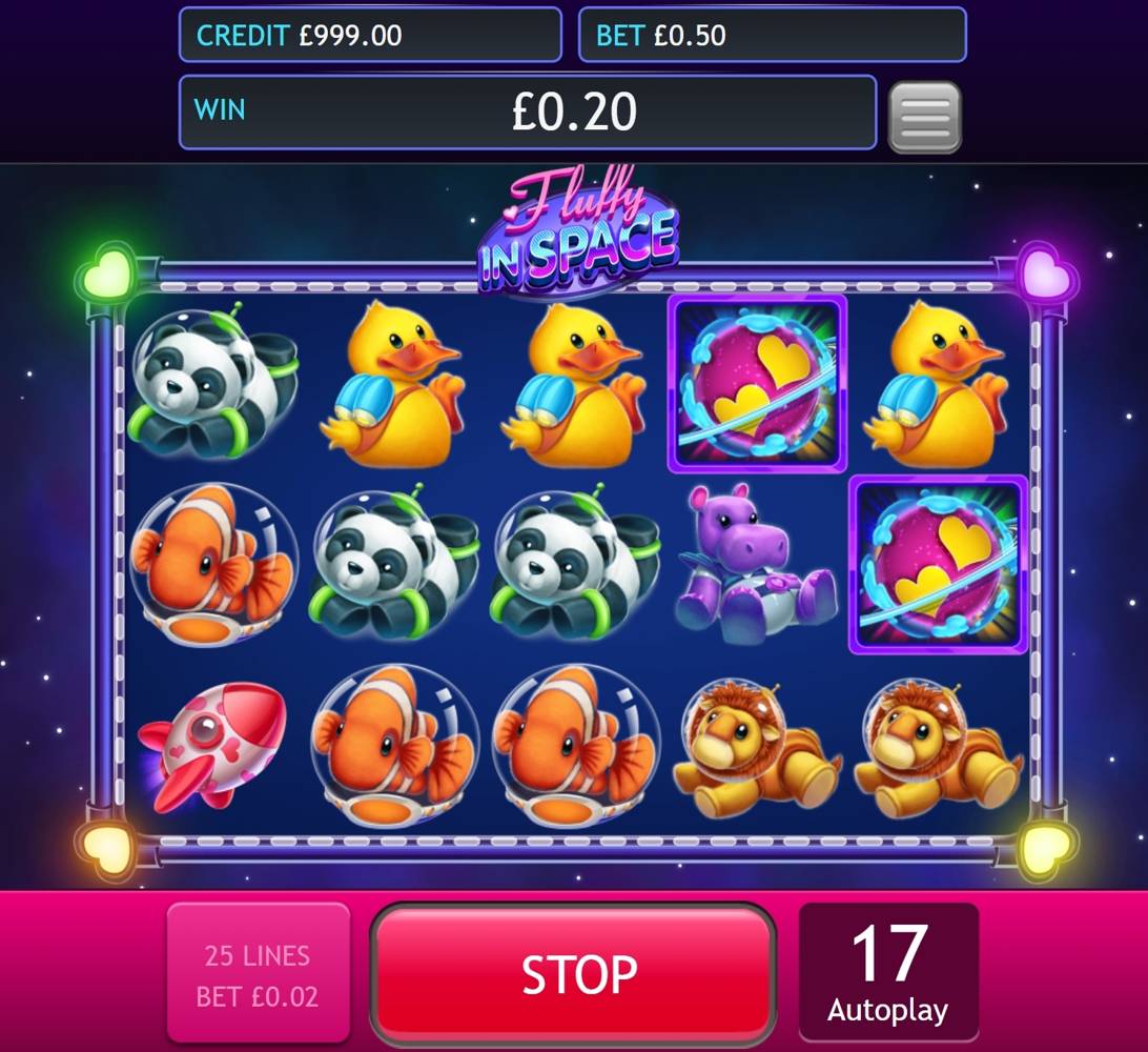 Fluffy in Space: image of winning