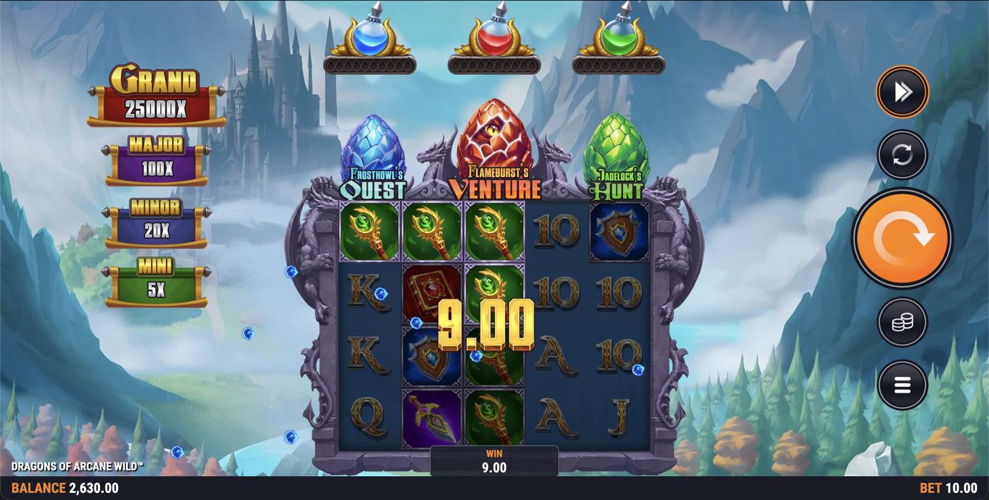 Dragons of Arcane Wild: image of winning