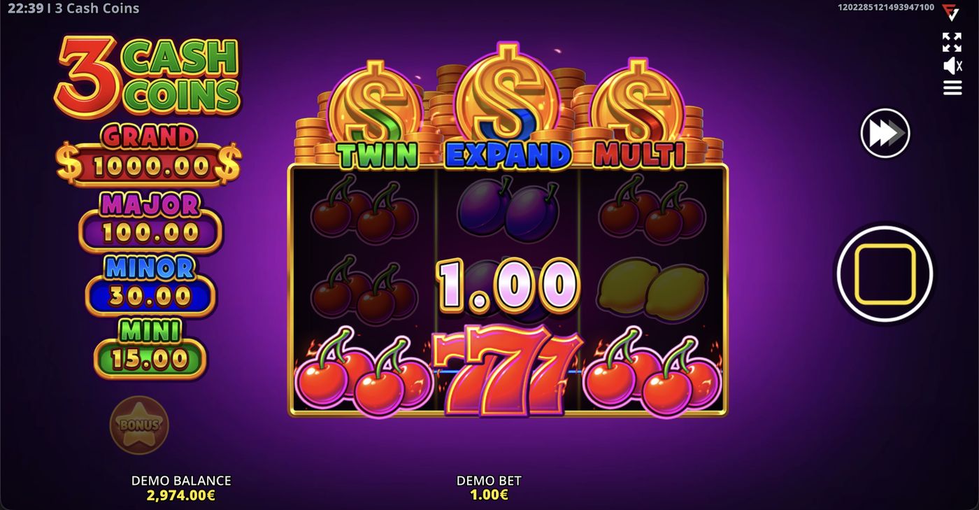 3 Cash Coins: image of winning