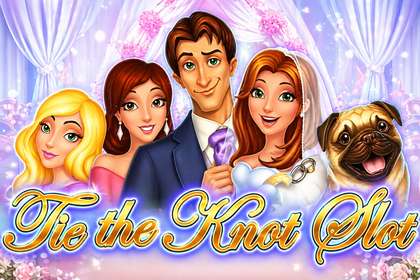 Tie the Knot Online Slot Logo