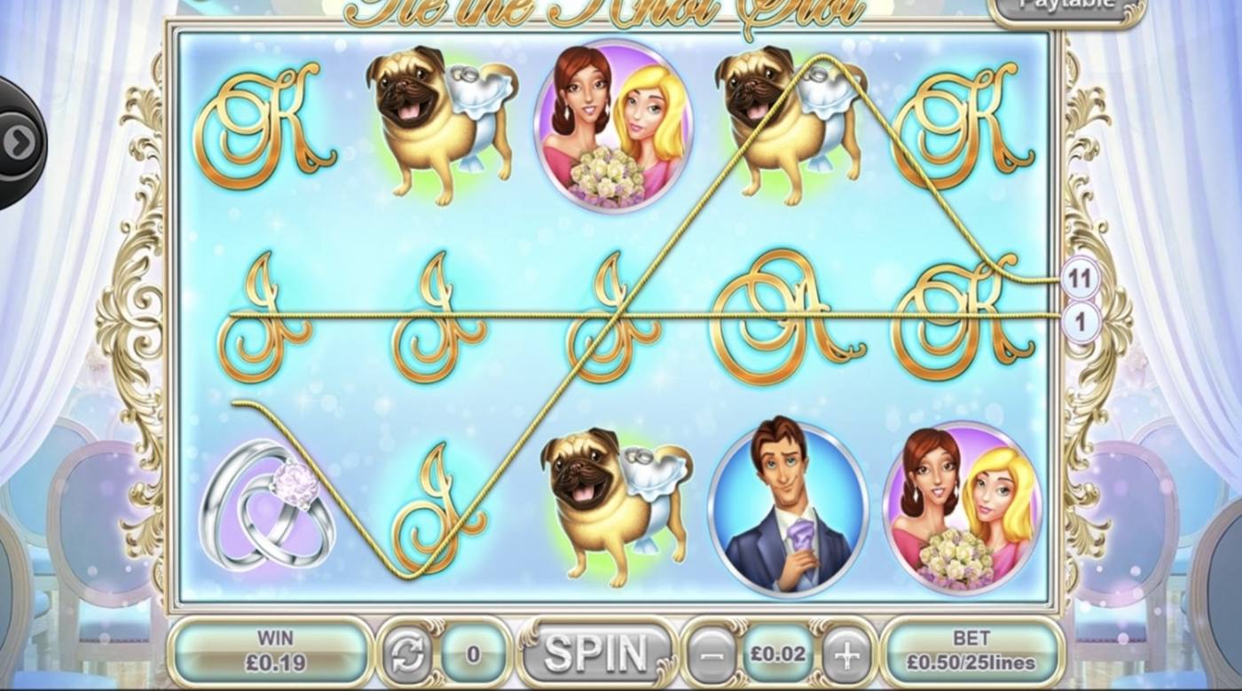 Tie the Knot: image of winning