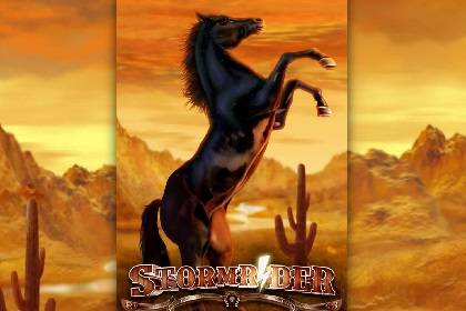 Storm Rider Online Slot Logo