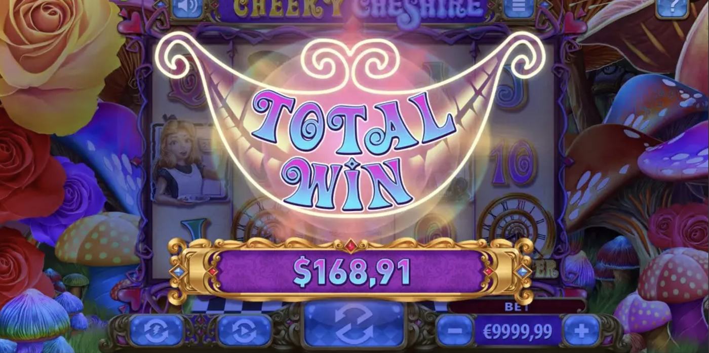 Cheeky Cheshire: image of winning