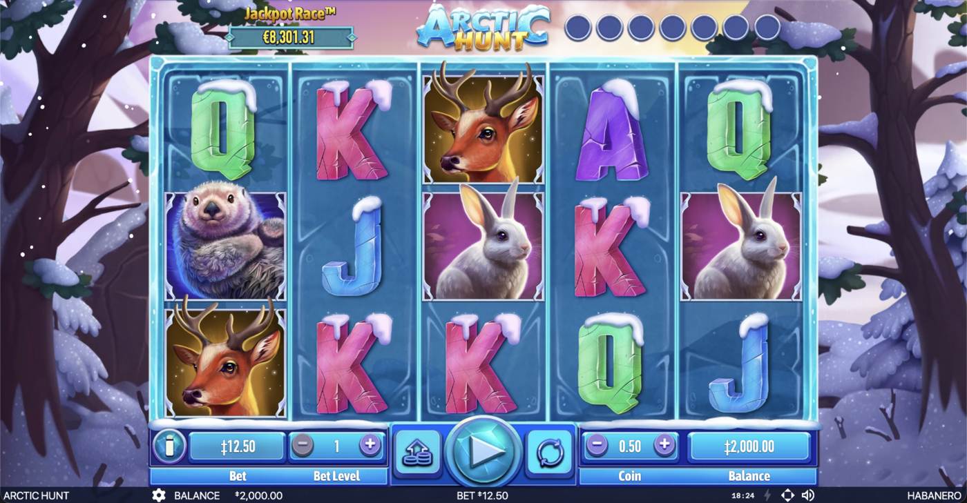 Arctic Hunt: image of main menu