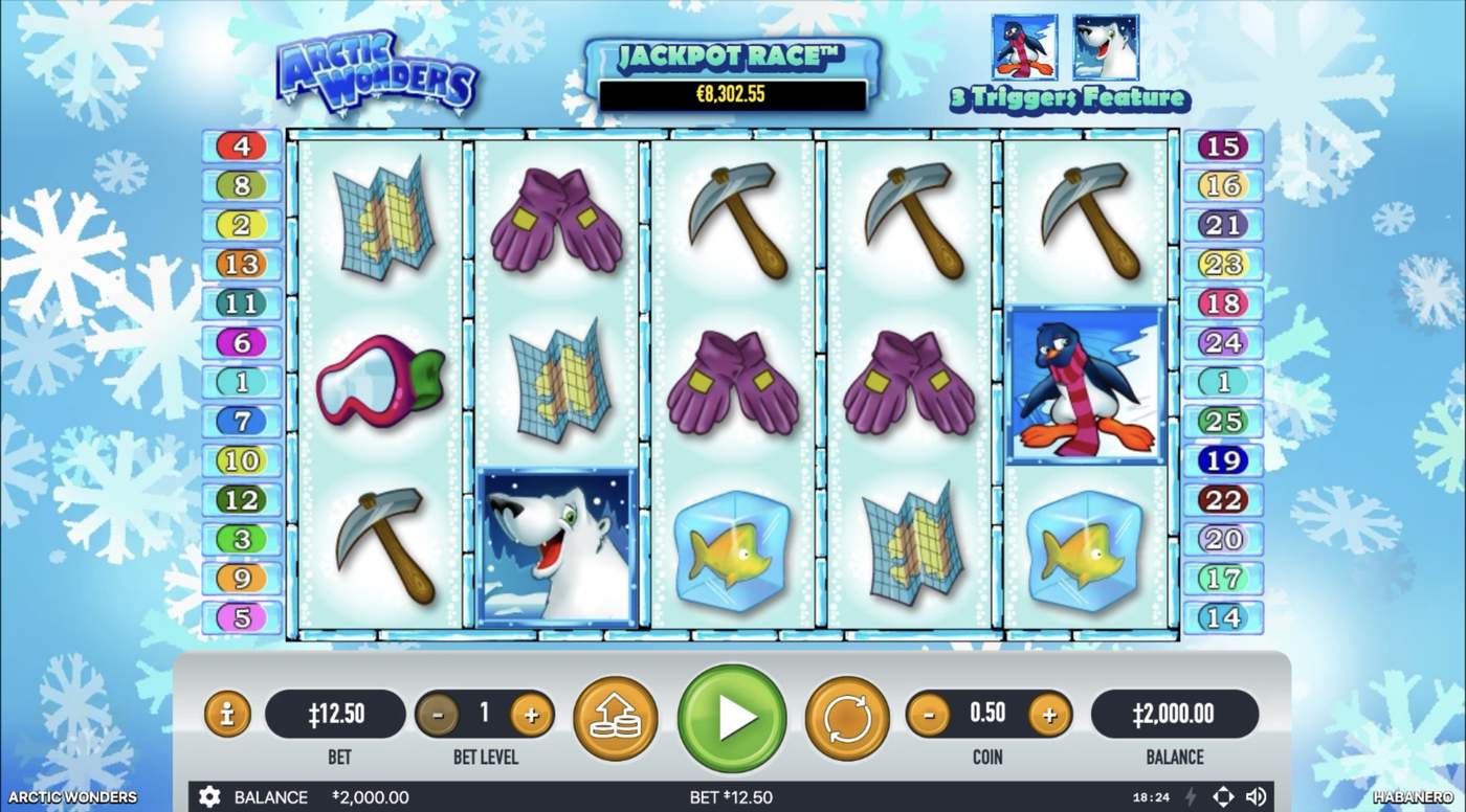 Arctic Wonders: image of main menu