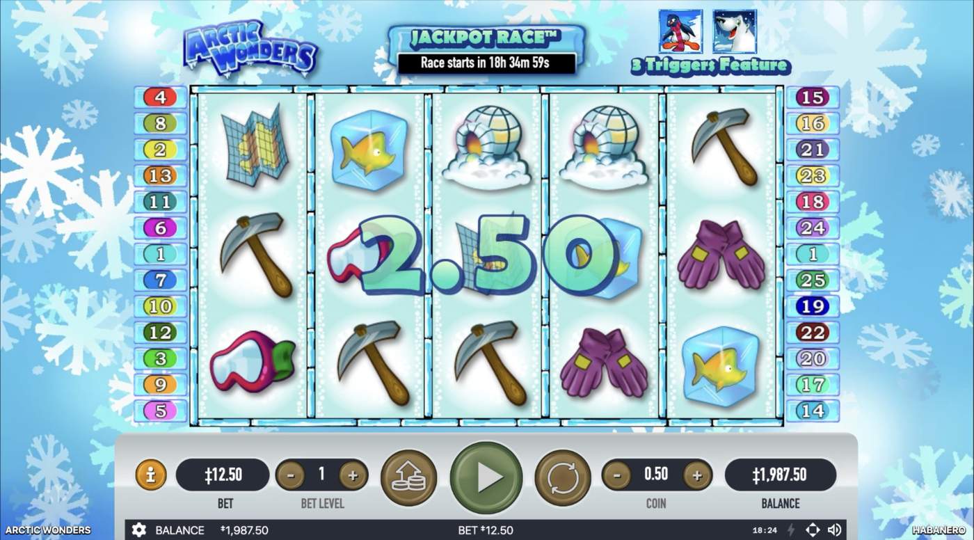 Arctic Wonders: image of winning