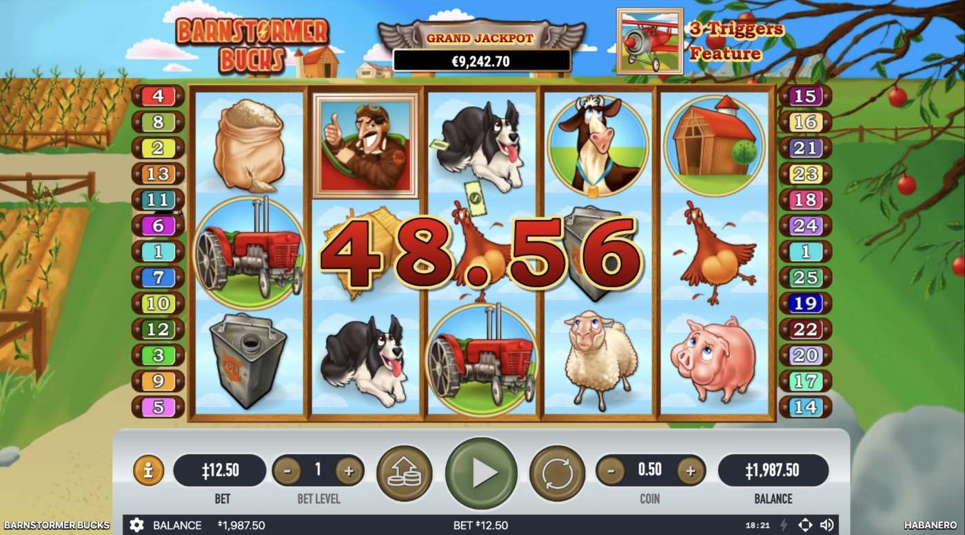 Barnstormer Bucks: image of winning