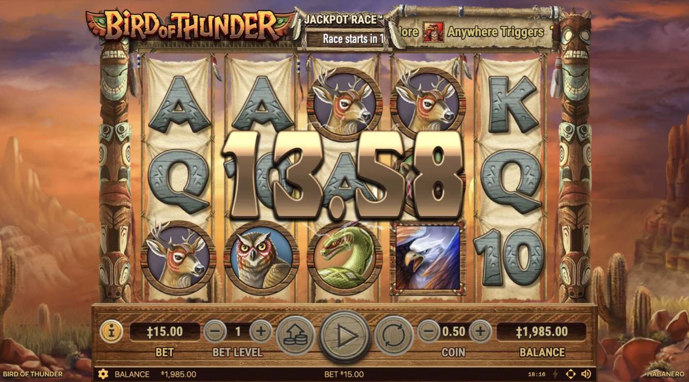 Bird of Thunder: image of winning