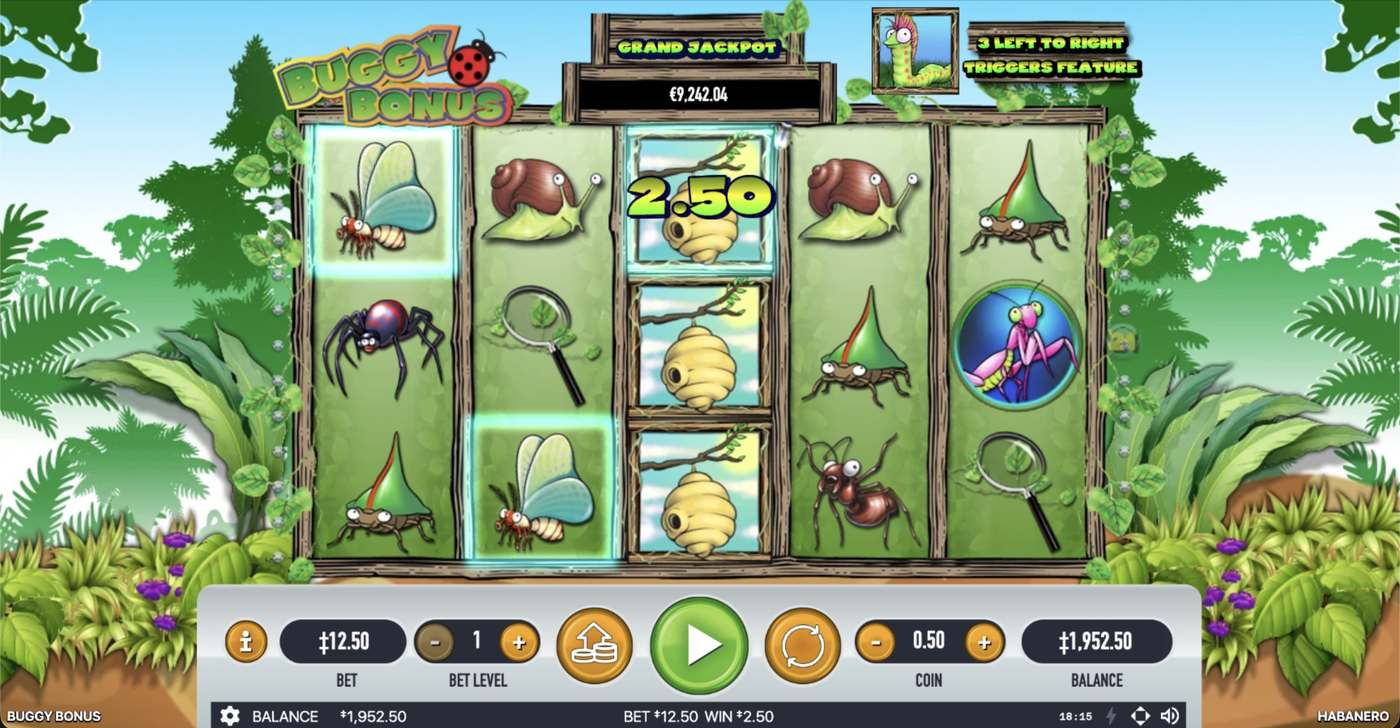 Buggy Bonus: image of winning